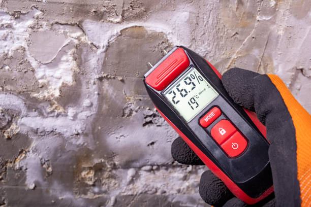 Best Office Mold Removal Services  in New Castle, IN