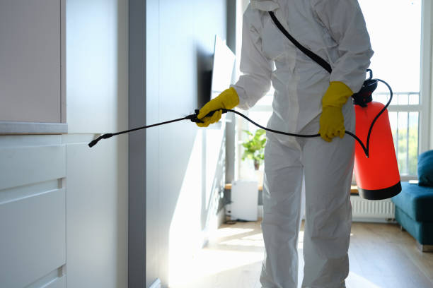 Best Mold Removal Process  in New Castle, IN