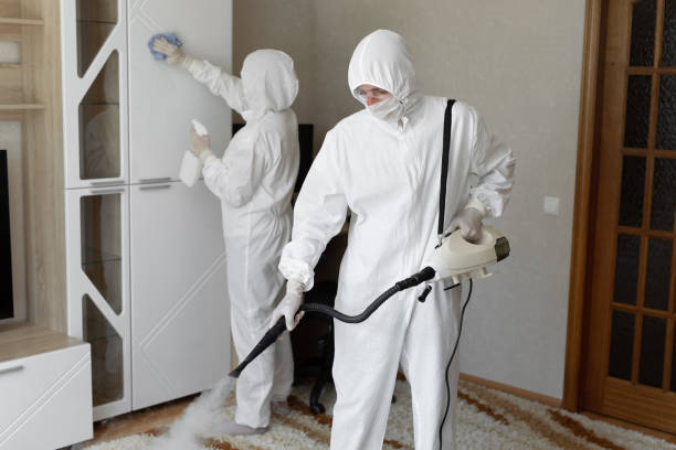 Trusted New Castle, IN Mold Removal Experts