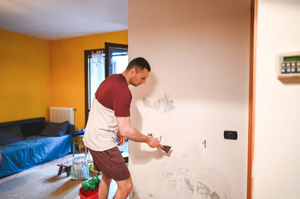 Best Mold Damage Repair  in New Castle, IN